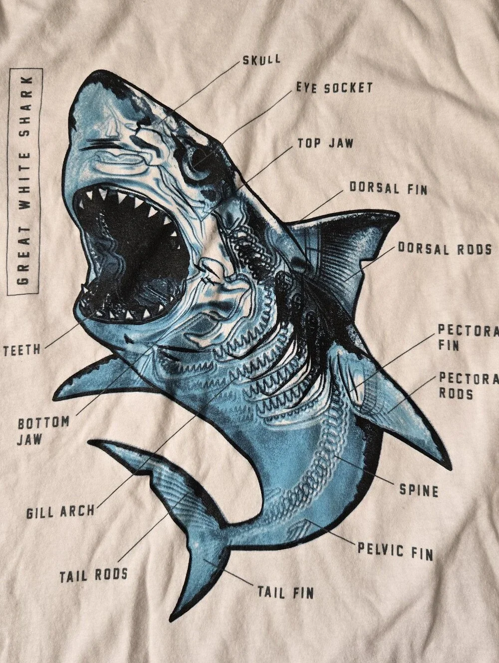 Set of Size 8 Kids Shark Graphic Tee & Shark-Print Top Old Navy Blue White VGUC
